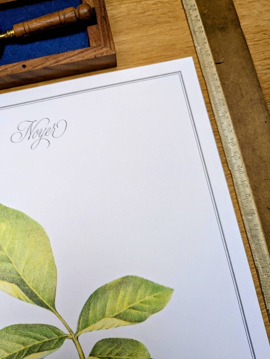 Printed in 1986, The Walnut Tree. Vintage Botanical