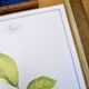 Printed in 1986, The Walnut Tree. Vintage Botanical