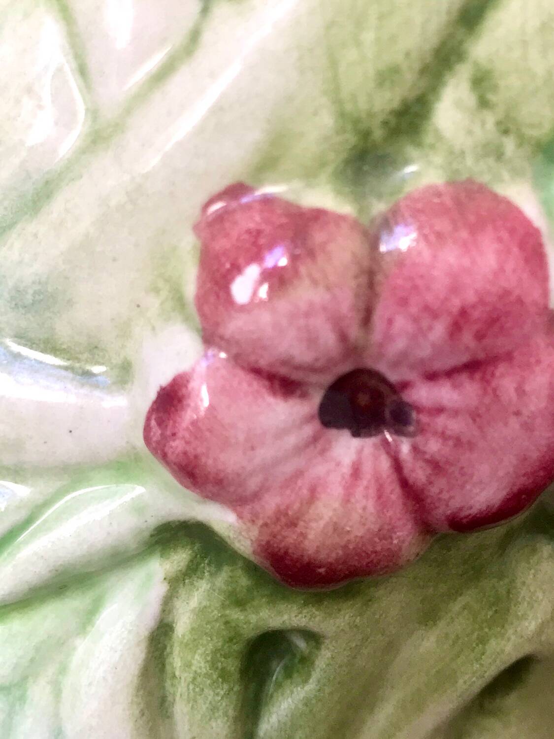 Parakeet pitcher in slip