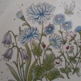 Botanical plates