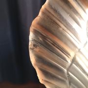 Shell lamp in gilded brass and molded glass 70s