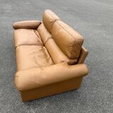 Sofa Petronio 603 de Tito Agnoli pour Poltrona Frau