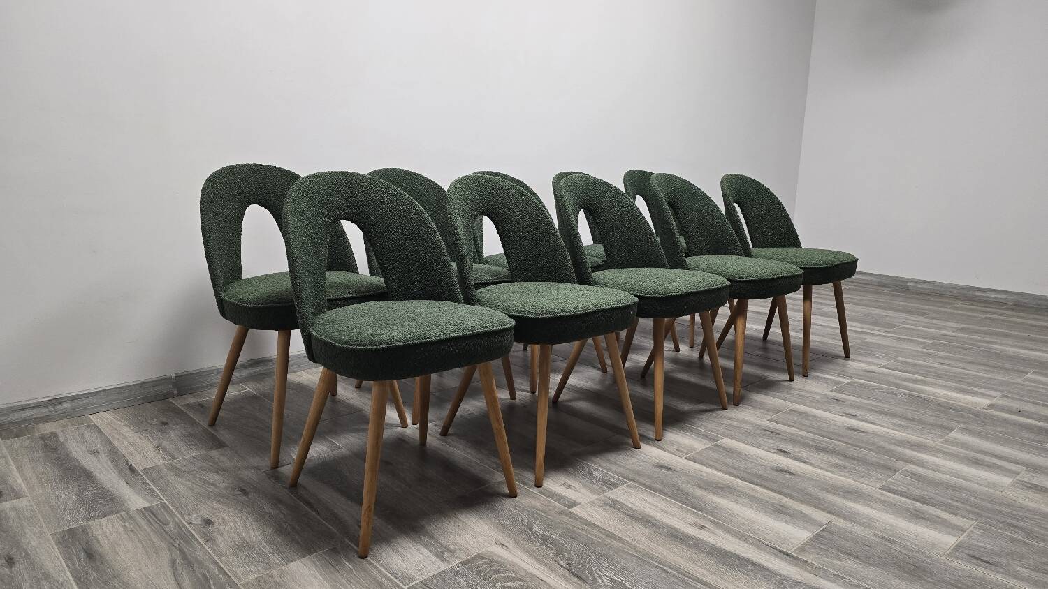 Dining Chairs by Antonin Suman, 1960s, Set of 10