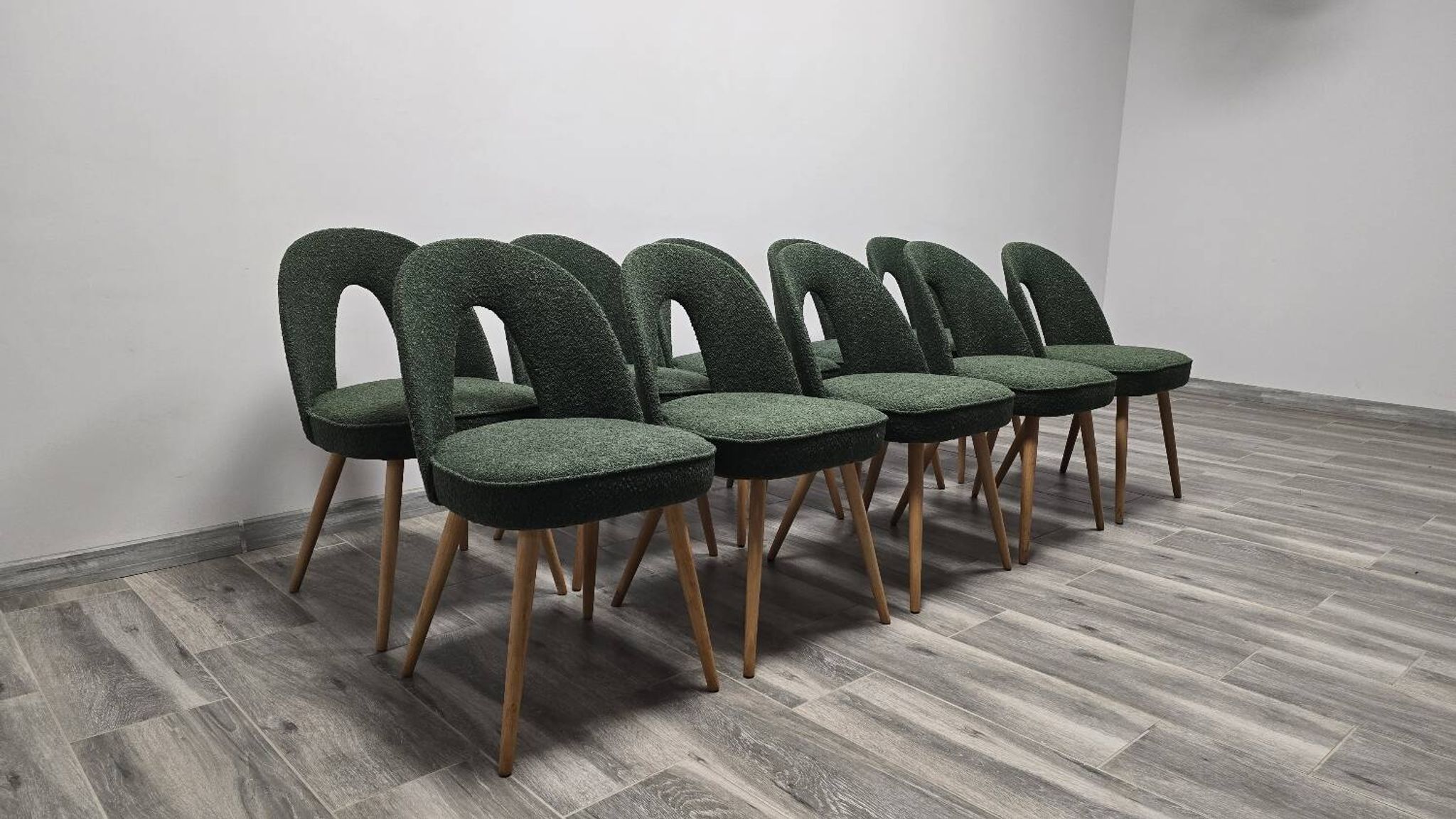 Dining Chairs by Antonin Suman, 1960s, Set of 10