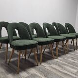 Dining Chairs by Antonin Suman, 1960s, Set of 10
