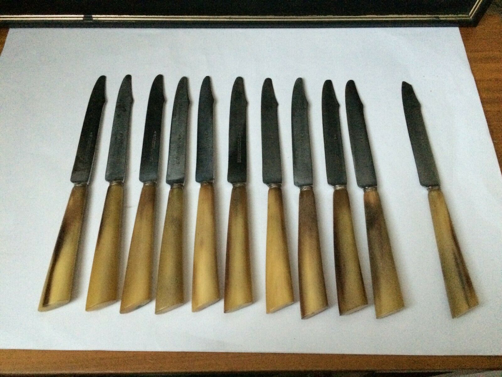 Set of 12 large knives and 11 horn and steel dessert knives