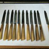 Set of 12 large knives and 11 horn and steel dessert knives