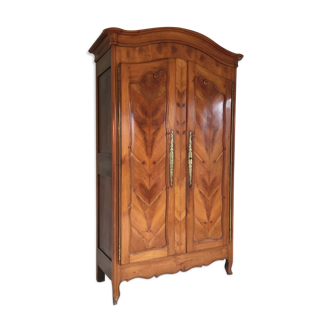 Mid-19th century cabinet of ferns in cherry and chestnut