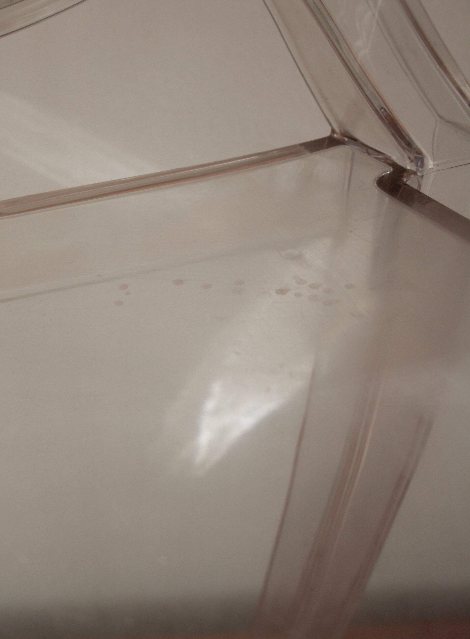 Two Starck chairs transparent model Louis Ghost