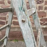 Large vintage ladder painter's stepladder 1950 vintage step ladder