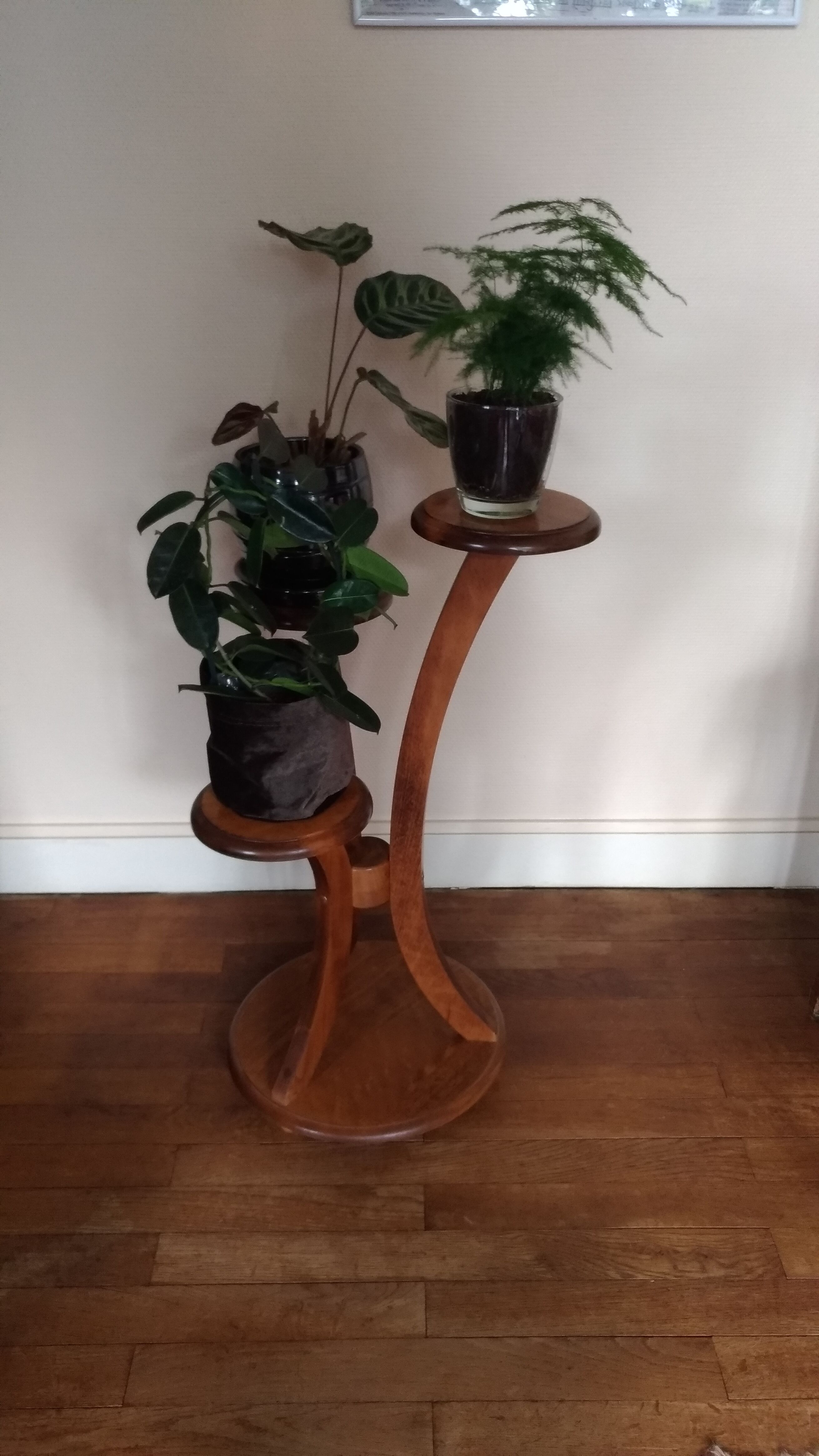 Harness door plants three round wooden trays