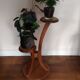 Harness door plants three round wooden trays
