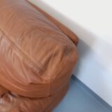 Pair of vintage Coquelicot lounge chairs by Tito Agnoli for Poltrona Frau in leather from the 70s