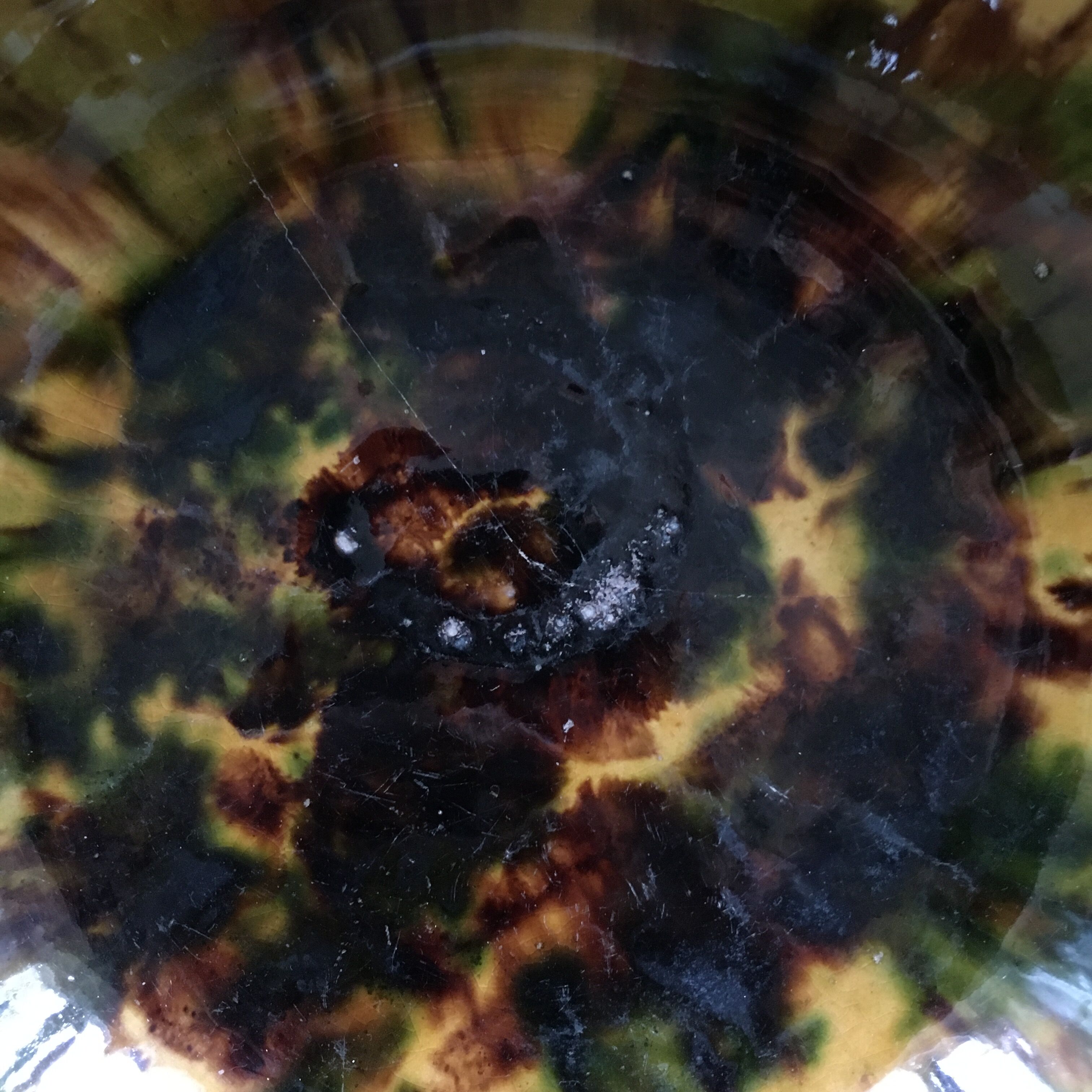 Flame-shaped corolla cup