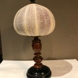 Sea urchin for Cabinet of Curiosities