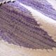 Tapis Kilim Violet - 312 x 200 cm