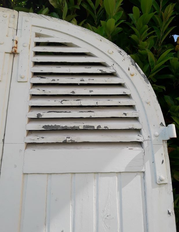 Curved shutters oak and fir H156xL245