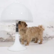 Mid-century Italian opaline white Murano table lamp