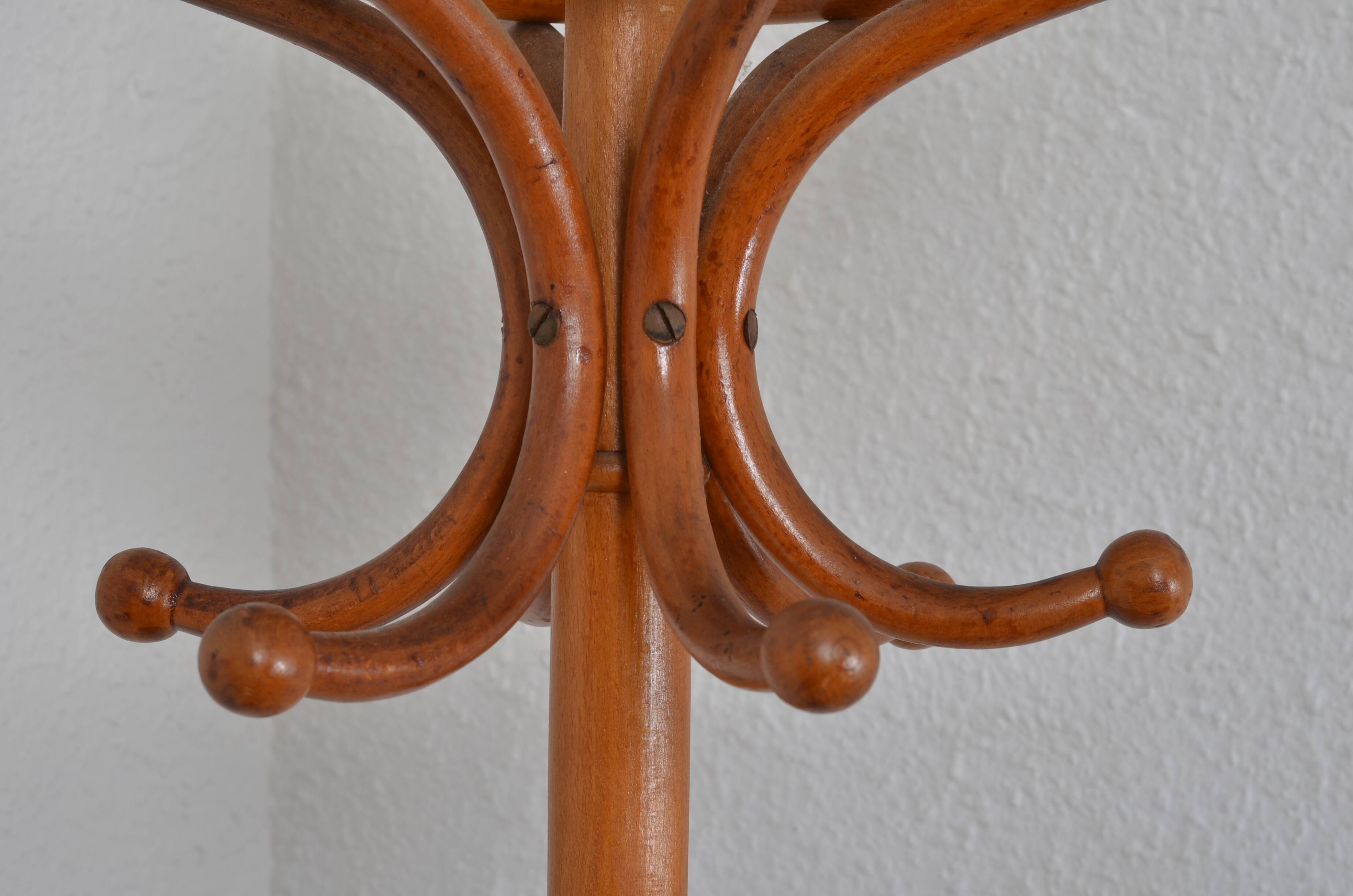 Porte manteau perroquet en bois courbé