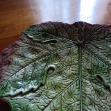 Vine leaf slip pocket emptier