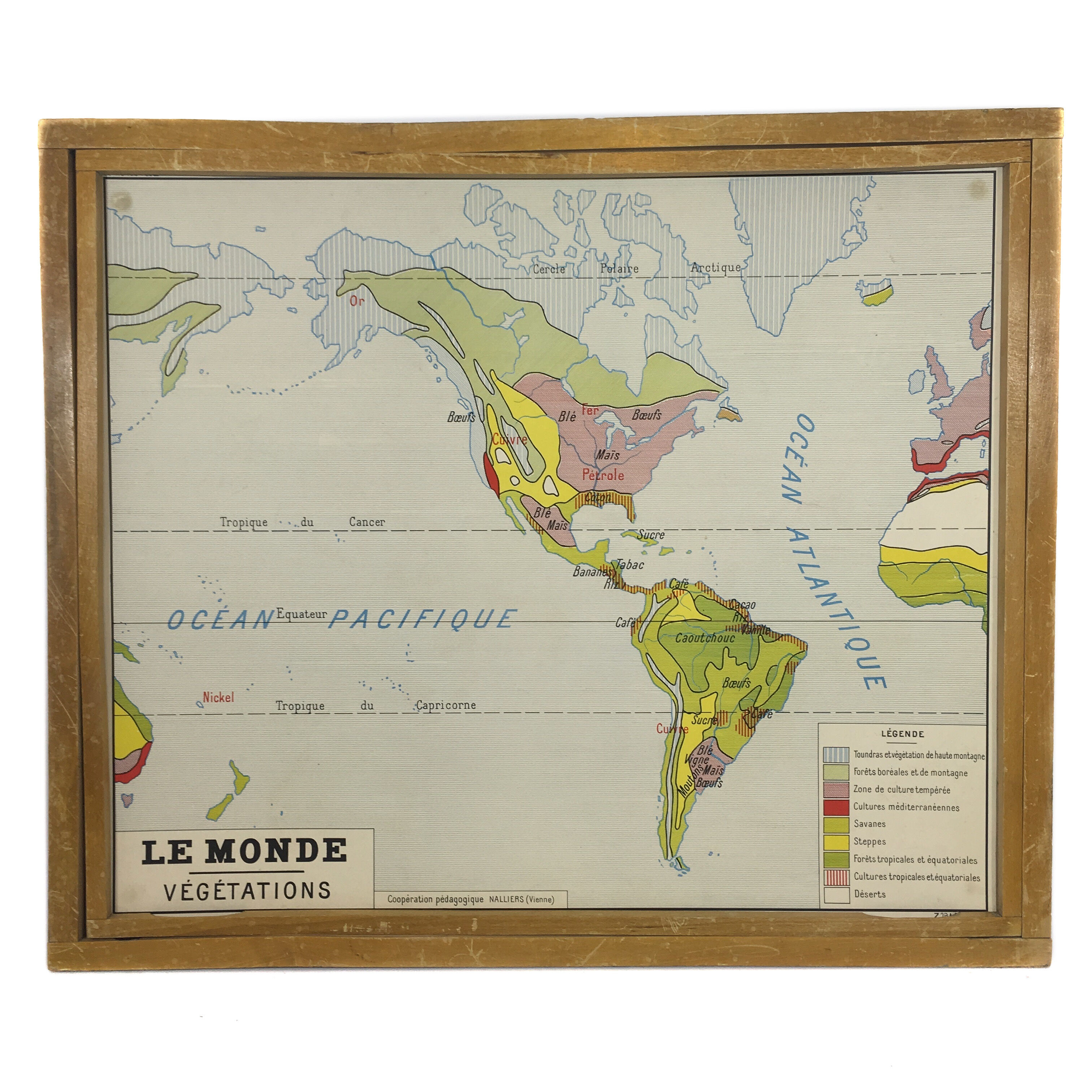 Worldwide geographic school poster double sided