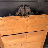 Mirror Louis Philippe