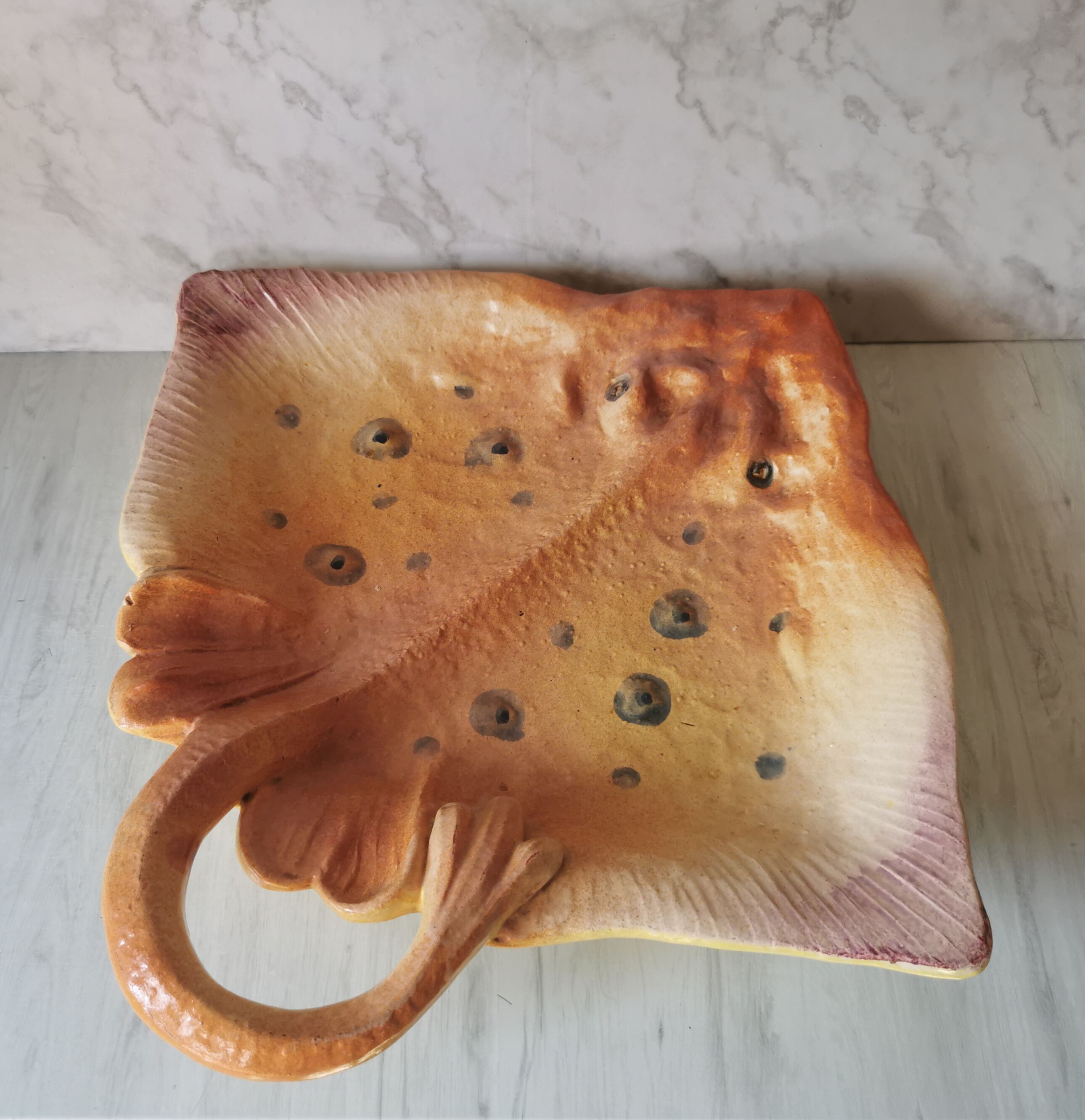 Zoomorphic dish ray