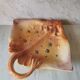 Zoomorphic dish ray