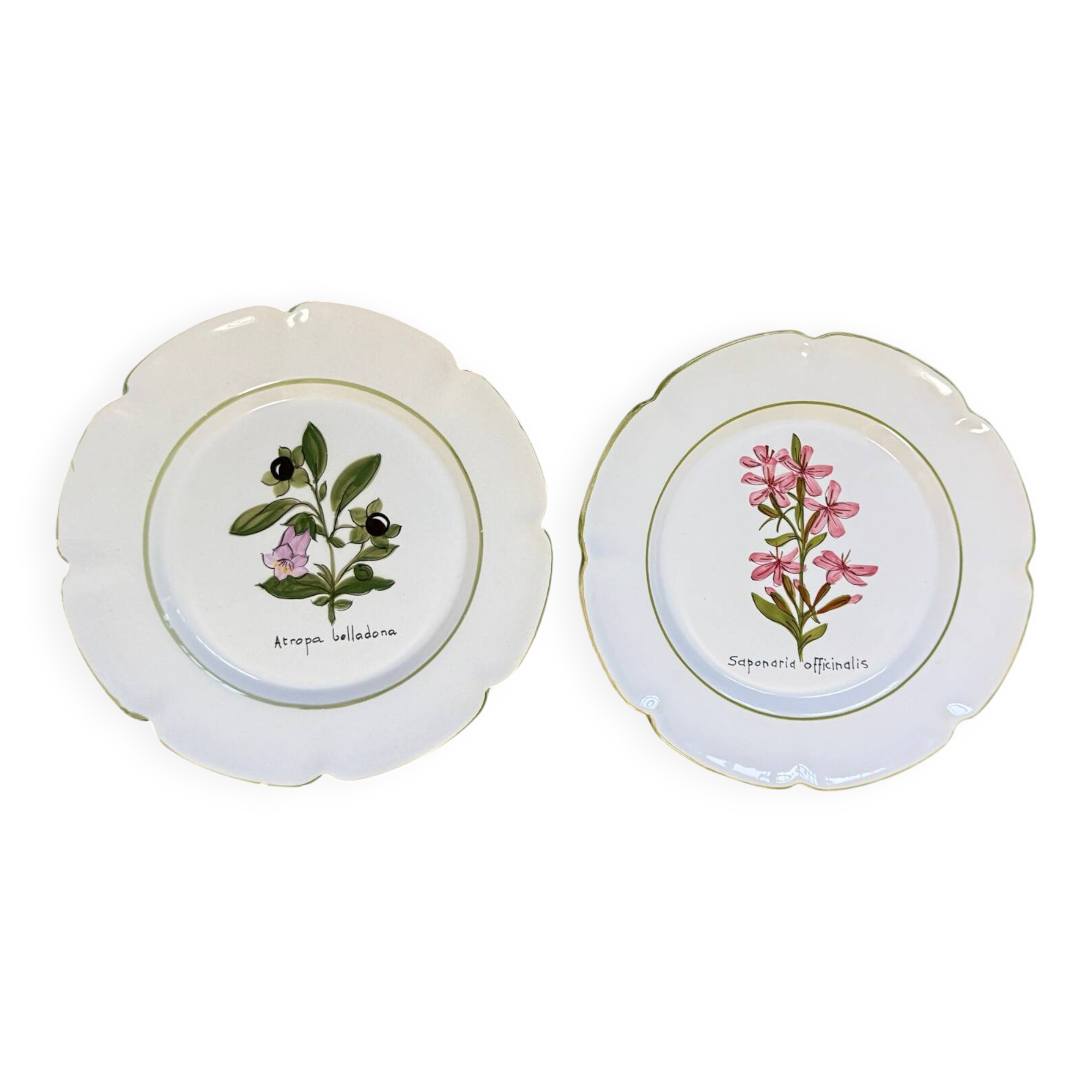 Pair of vintage Charolles plates hand-painted – Botanical decor