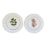 Pair of vintage Charolles plates hand-painted – Botanical decor