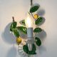 Pair of Italian metal lemon sconces, Firenze House, 1970