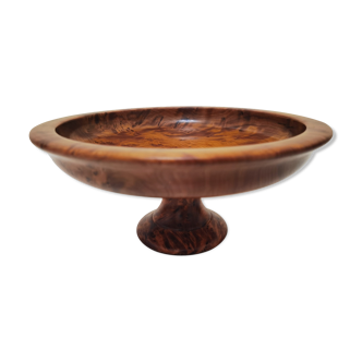 Tazza standing fruit cup in magnifying glass wood