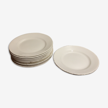 10 assiettes Digoin