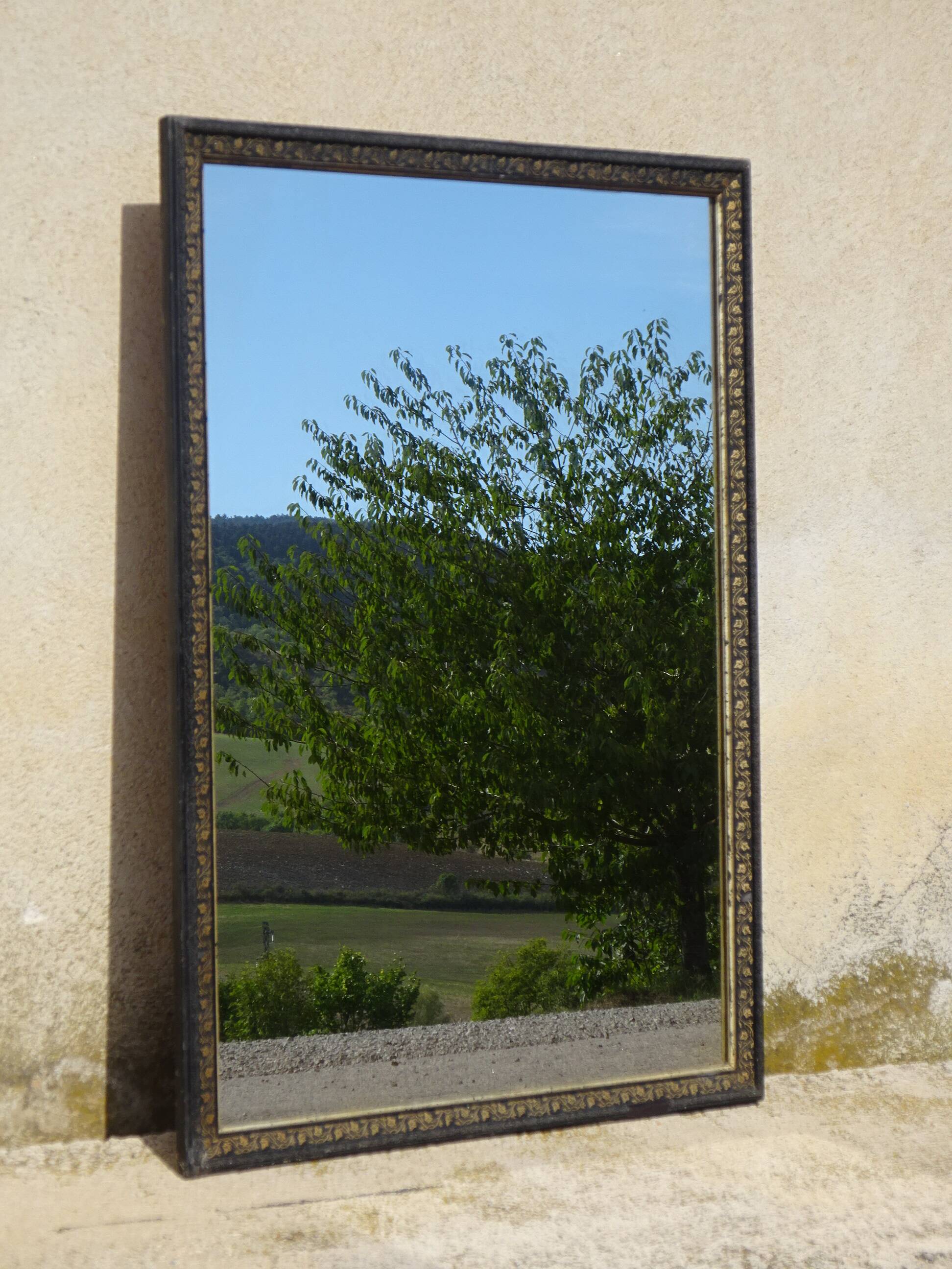 Mirror with black and gold frame, embossed vine leaves