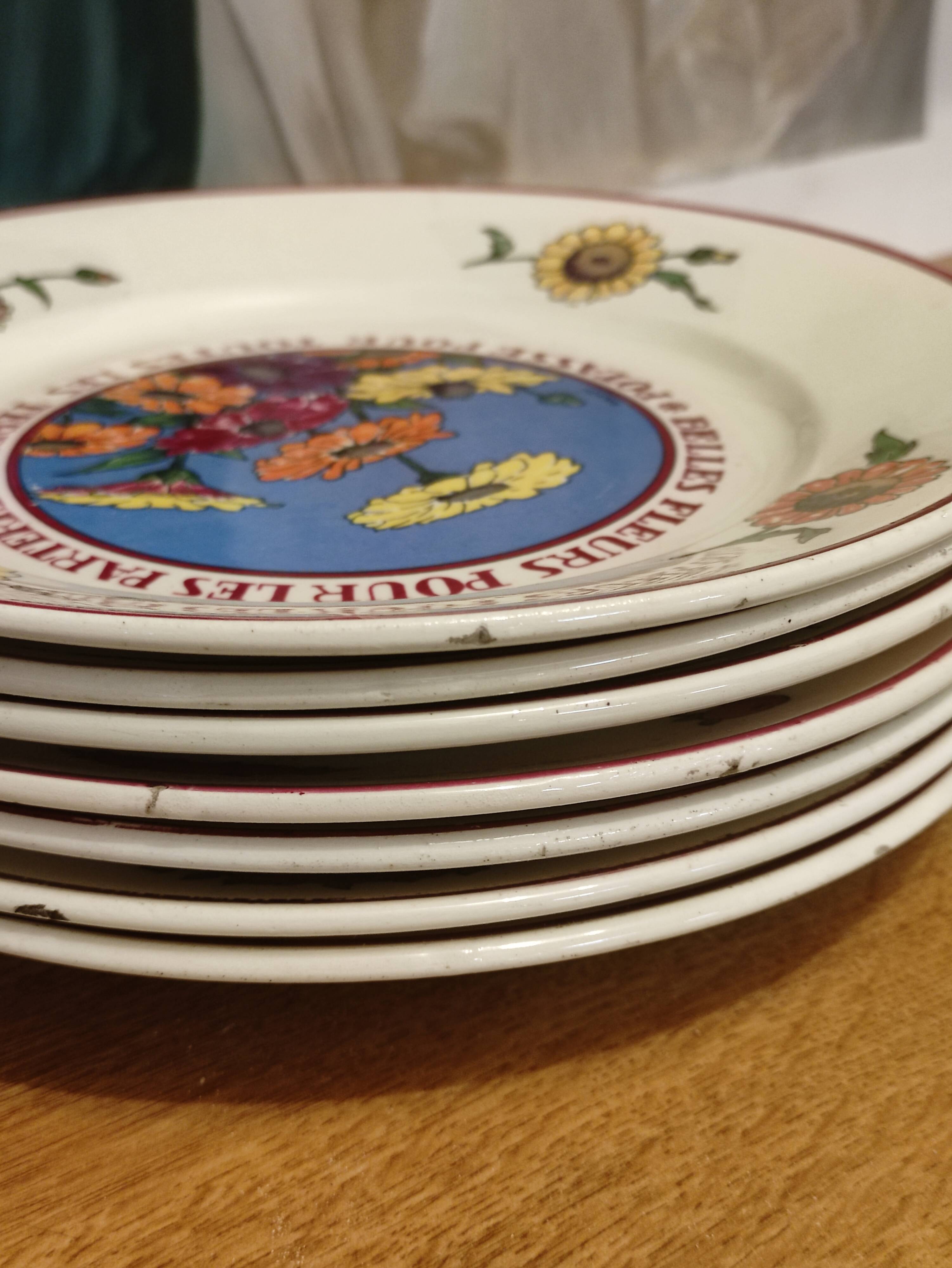 Lunéville 7 flat plates Potash by Hansi