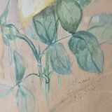 Watercolour painting of pink flowers signed Simonne 1922 in a gilded wooden frame.