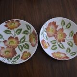 Set of 2 plates Moulin des loups model Ontario