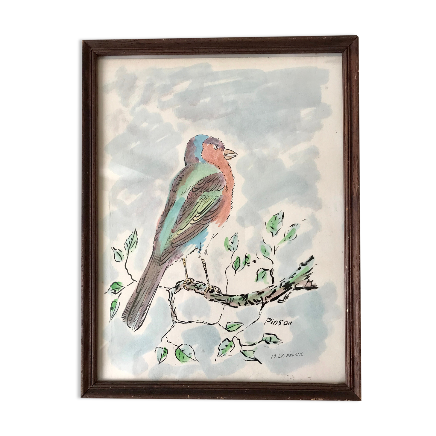 Watercolor bird Pinson signed vintage