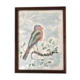 Watercolor bird Pinson signed vintage