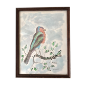 Aquarelle oiseau Pinson signée vintage