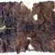 Goat skin  65x130cm