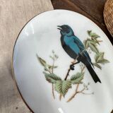 Round porcelain box "bird"