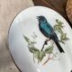 Round porcelain box "bird"