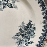 Together six old plates are mismatched in green