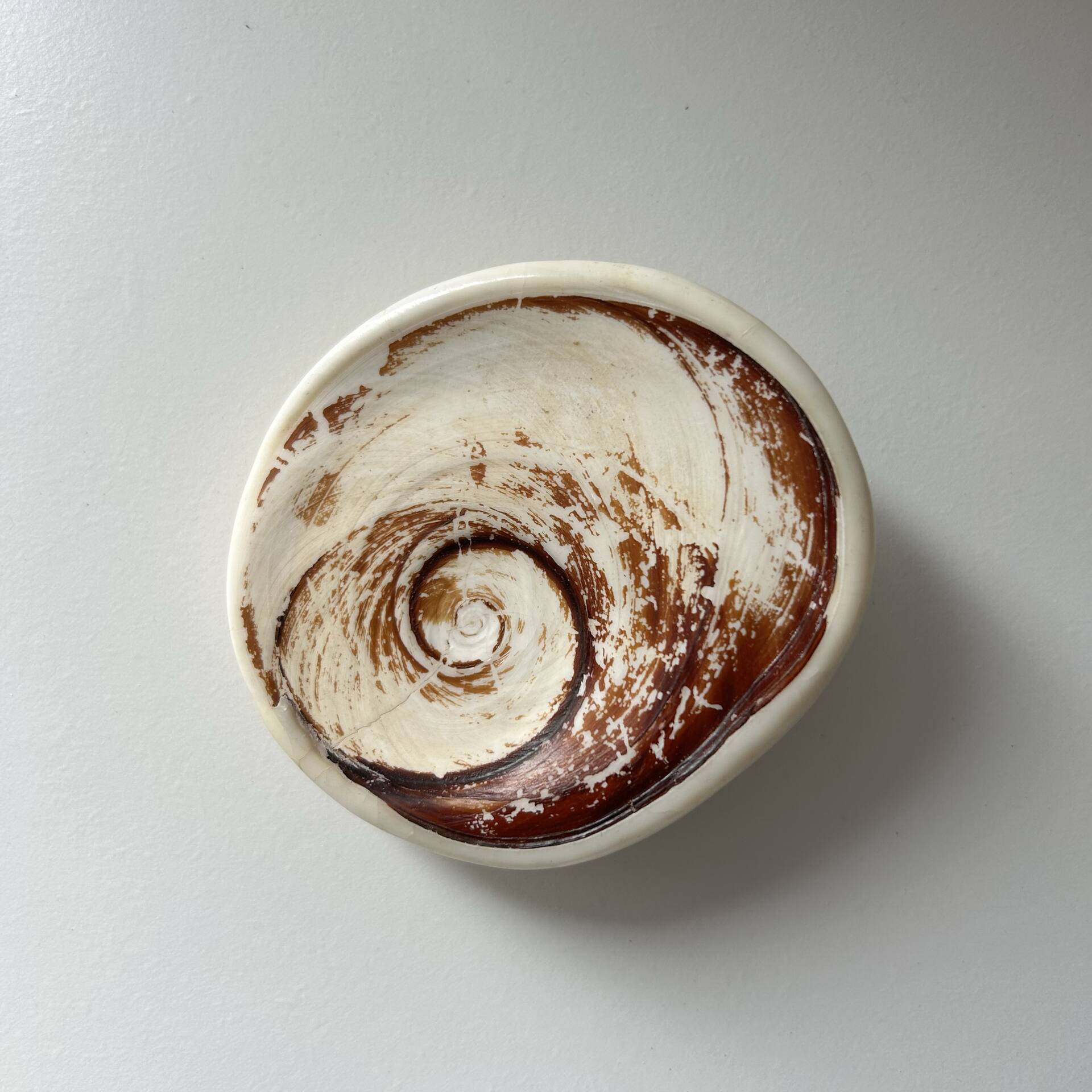 Fossilised shell