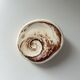 Fossilised shell
