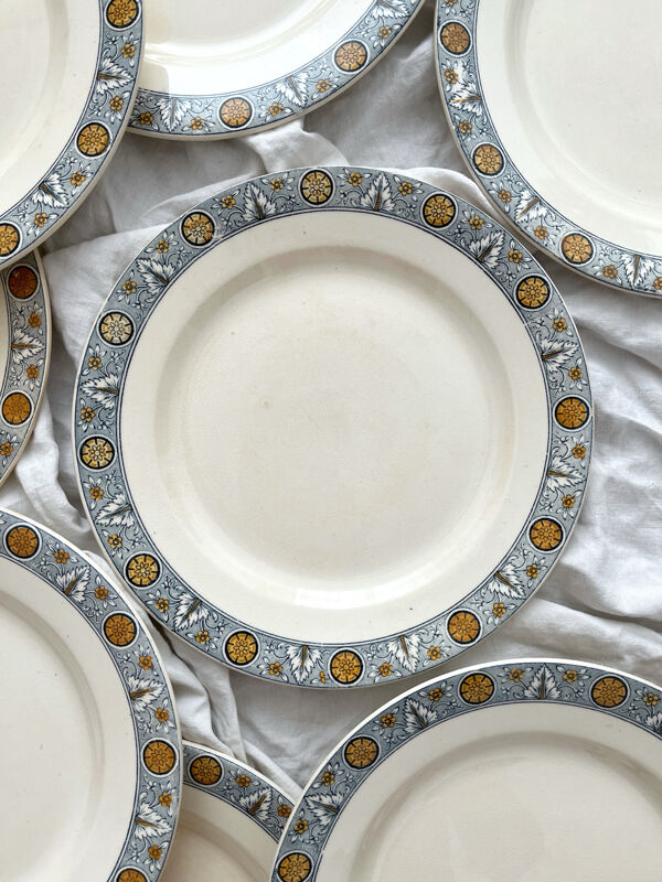 10 assiettes plates en terre de fer « Lamartine » Salins