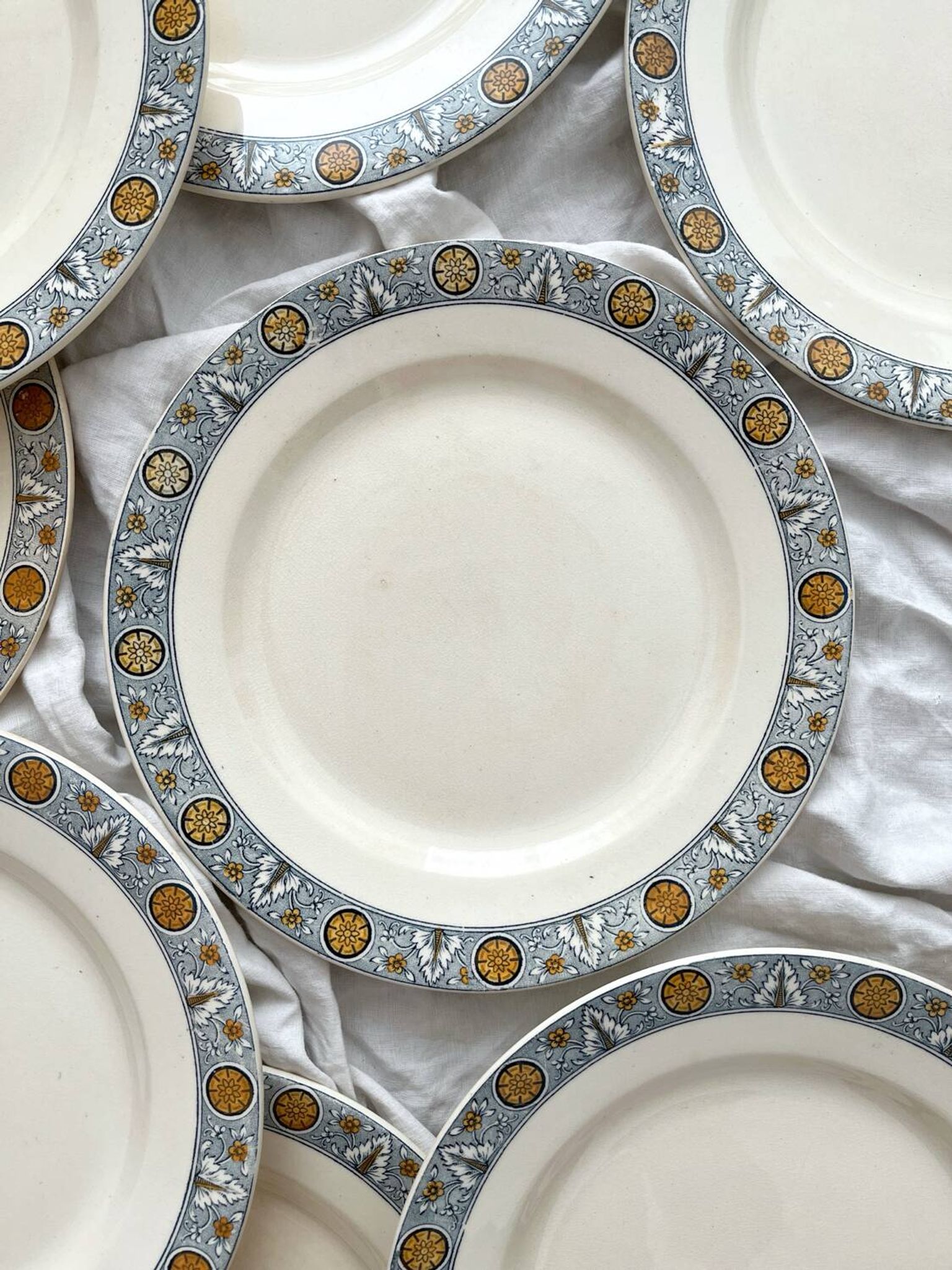 10 assiettes plates en terre de fer « Lamartine » Salins