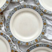 10 assiettes plates en terre de fer « Lamartine » Salins