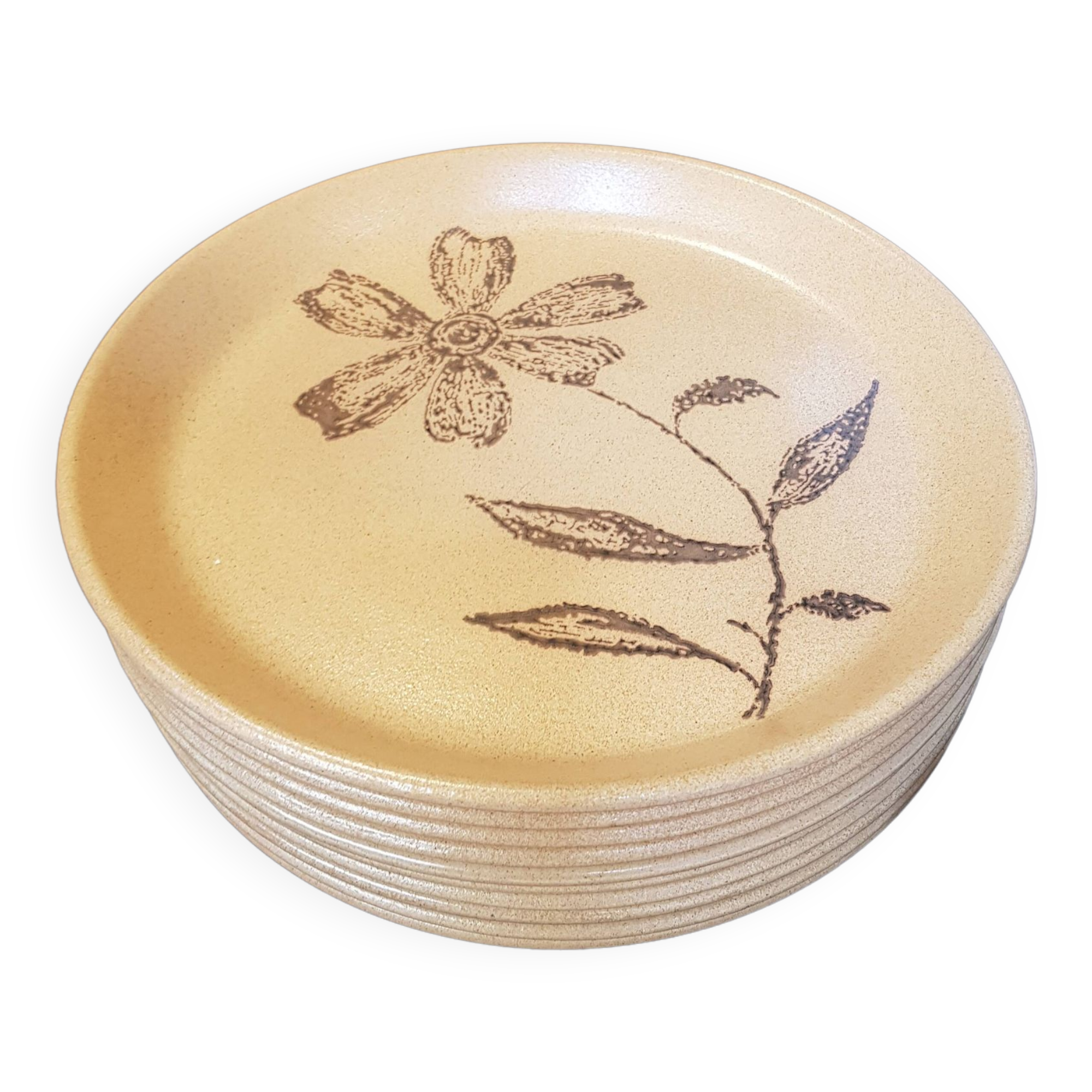 10 stoneware dinner plates